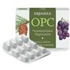 ERBAMEA SRL OPC 24 Cps EBM