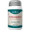 ERBA VITA GROUP SpA ORTHOSIPHON 60 Cps 450mg EBV