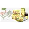 ERBAMEA- IMMUNOSEMPRE TISANA BIOLOGICA