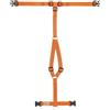 Haqihana srl Haqihana Pettorina ad H Carrot in Nylon per Cani, xl-torace-90-130cm