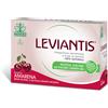 NATHURA SPA LEVIANTIS GUSTO AMARENA 16 BUSTINE