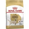 Royal Canin per Cane Labrador Retriever Adult Formato 3kg