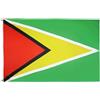 AZ FLAG Bandiera Guyana 150x90 cm Guyana Poliestere 100D 2 Occhielli