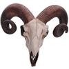 Nemesis Now Rams Skull - Targa da parete media, 32,5 cm, colore: avorio, resina, taglia unica