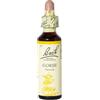 SCHWABE PHARMA ITALIA Schwabe Fiori Di Bach Gorse Gocce 20ml