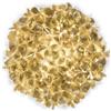 SLAMP lampada da parete plafoniera CLIZIA MAMA NON MAMA GOLD - CLICL00GNM00000000EU