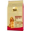 Select Gold Sensitive Medium Adult con Agnello e Riso 12KG