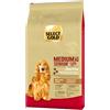 Select Gold Sensitive Medium Senior con Agnello e Riso 12KG