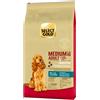 Select Gold Sensitive Medium Adult con Salmone e Patate 12KG