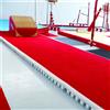Pista per acrobatica Gymnova mt. 14x2