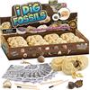 Byncceh Kit di Scavo di Fossili Kit per Esperimenti per Bambini con 12 Fossili Veri Giocattolo di Scavo Archeologico con Diversi all'Interno Regalo per Bambini Compleanno Favore di Partito