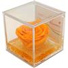 Texo di Claudio Rosso rosa vera gialla, regalo festa pensiero cerimonia, dura per sempre, stabilizzata profumata cubo 8x8x8 plexiglass