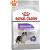 Royal Canin Dog Medium Sterilised - Sacco da 3 Kg