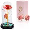 Glasseam La Bella E La Bestia Rose In Cupola Di Vetro Luci A LED Crystal Rose Fiori Regalo Per Compleanno Anniversario San Valentino Matrimonio Fidanzata Moglie Donne