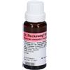 Reckeweg R37 Gocce 22 ml