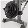 Toorx Fitness Adattatore Leg Extension per Utilizzo Dischi in Ghisa con Foro 50 mm x WBX-60 e WBX-90 Linea Toorx