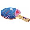 Garlando Racchetta Tennis Tavolo- Ping Pong Garlando Arrow 2 Stelle cd.2C4-114