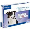 VIRBAC Srl Effipro Duo Cane 4 Pipette - 10 a 20 Kg