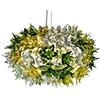 Kartell Bloom 09260MN S2, Lampada a Sospensione, Menta, Ø 28