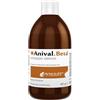 DYMALIFE PHARMACEUTICAL Anival Beta Sciroppo Secco 60 G - Integratore di Vitamine del gruppo B