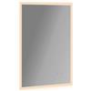 kleankin Specchio da Bagno con LED Rettangolare 70x50cm, Sensori Touch, Anti-Appannamento, 3 Colori di Luce | Aosom