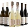 Carlin de Paolo Degustazione 6 bt Piemonte - Carlin de Paolo
