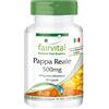 Fairvital | Pappa Reale Estratto 500mg - 1 mese - alto dosaggio - 90 capsule - standardizzato al 4% 10-DHA