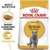 ROYAL CANIN British shorthair 34 2kg