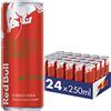 Red Bull Energy Drink, Gusto Anguria, 250 ml (24 Lattine)
