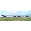 BLACK STAR BS10035 CARRO TRASPORTO AUTOVEICOLI
