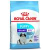 Royal Canin 34 - Cibo gigante per cuccioli, 3,5 kg