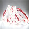pcning Strisce LED Adesiva 220V 3 Metri con Interruttore IP67 Striscia Impermeabile SMD2835 120 led/m Bianco Freddo 6000K Strip LED (Bianco Freddo, 3.00)