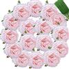 FagusHome 25 Pezzi Teste di Fiori di Peonia Artificiale 10CM Fiori Artificiali di Seta con Steli Fiori Vintage per la Decorazione (Rosa)