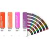 Pantone GP1605B Formula Guide Coated & Uncoated - 4 Mazzette a Ventaglio, in una Disposizione Cromatica dei Colori, Multicolore