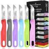 Schwertkrone - Set di 6 Coltelli da Frutta - Spelucchino Solingen affilati - con Lama in Acciaio Inox Affilata e Precisa - Coltelli per verdure
