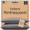 Bambaw Federe bambu 50x75 cm, Confezione da 2, Federe traspiranti e antibatteriche antiacaro, Federa rinfrescante cuscino per l'estate, Federa cuscino bambù certificata Oeko-Tex (Grigio scuro)