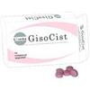 Gissoma srl GISOCIST COMPRESSE