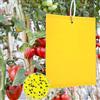 Panngu 50 Pezzi di Trappole Appiccicose per Parassiti delle Piante, Double Face, Trappole appiccicose Gialle per Insetti Volanti - Afidi, Moscerini fungini, Mosche Bianche. (20x15cm, 50Fascette)