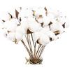 Larber Confezione da 20 steli decorativi in cotone bianco essiccato, steli alti in finto cotone per riempire vasi, centrotavola, ghirlande fai da te, decorazioni natalizie, invernali, matrimoni, 41,9 cm