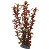 Hobby 41518 Rotala, 30 cm