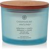 Chesapeake Bay Candle Reflection & Clarity (Sea Salt Sage) 3 stoppini & Clarity (Sea Salt Sage) Candela Profumata Vasetto