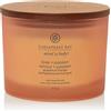 Chesapeake Bay Candle Love & Passion (Grapefruit Mango) 3 stoppini sion (Grapefruit Mango) Candela Profumata Vasetto