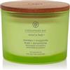 Chesapeake Bay Candle Awaken & Invigorate (Lemongrass Eucalyptus) 3 stoppini nvigorate (Lemongrass Eucalyptus) Candela Profumata Vasetto