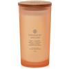 Chesapeake Bay Candle Love & Passion (Grapefruit Mango) Grande Passion (Grapefruit Mango) Candela Profumata Vasetto