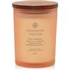 Chesapeake Bay Candle Love & Passion (Grapefruit Mango) Media & Passion (Grapefruit Mango) Candela Profumata Vasetto