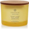 Chesapeake Bay Candle Strength & Energy (Pineapple Coconut) 3 stoppini Energy (Pineapple Coconut) Candela Profumata Vasetto