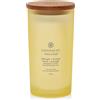 Chesapeake Bay Candle Strength & Energy (Pineapple Coconut) Grande th & Energy (Pineapple Coconut) Candela Profumata Vasetto