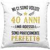 Vulfire Federa per Cuscino Mi Ci Sono Voluti 40 Anni ma Adesso Sono Perfetto Simpatica Idea Regalo Festa di Compleanno Uomo Quarantesimo Arredo Casa Divano Letto - senza Imbottitura (40_x_40_cm, Bianco)