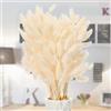Snowtain 50 pcs Fiori Coda di Coniglio Natural Fiori Secchi Decorativi Erba della Pampas Decorative Erba Della Pampas Fiori Secchi Coda Coniglio Essiccata Mazzi Erba per Matrimonio (40cm Bianco)