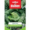 Blumen cavolo verza
